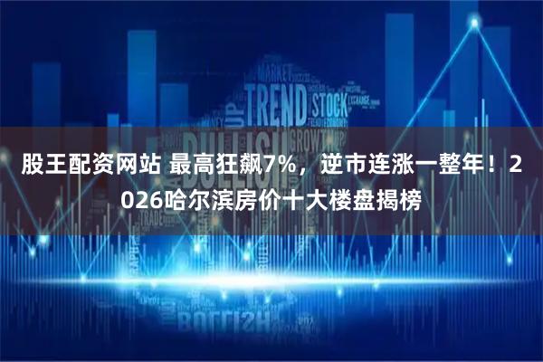 股王配资网站 最高狂飙7%，逆市连涨一整年！2026哈尔滨房价十大楼盘揭榜